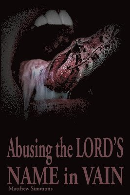 Matthew Simmons - Abusing the Lord's Name in Vain, Häftad