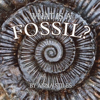 Anna Stiles - What is a Fossil?, Häftad. Tillgänglighet: Lägg i varukorg