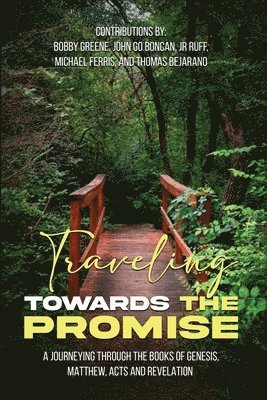 Tim W Gould - Travelling Towards The Promise, Häftad