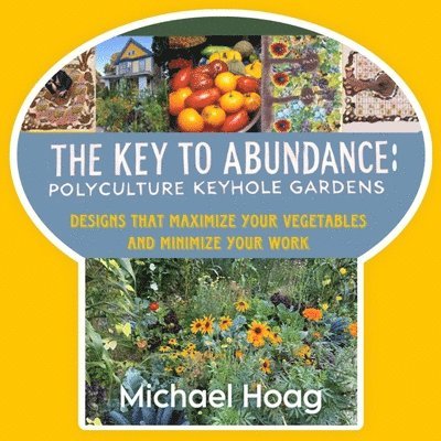 Michael Hoag - Key to Abundance, Häftad. Tillgänglighet: Lägg i varukorg
