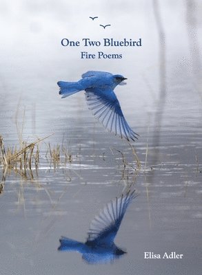 Elisa Adler - One Two Bluebird, Häftad
