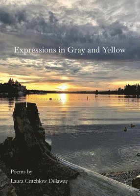 Laura Critchlow Dillaway, Travis Talburt - Expressions in Gray and Yellow, Häftad. Tillgänglighet: Lägg i varukorg