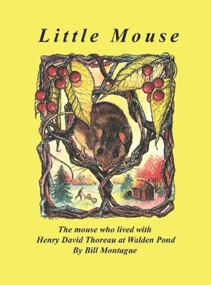 Bill Montague - Little Mouse, Inbunden. Tillgänglighet: Lägg i varukorg
