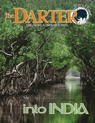 Darter