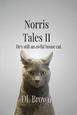 D L Brown - Norris Tales II, Häftad