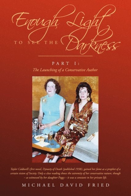Michael Fried - Enough Light to See the Darkness, E-bok