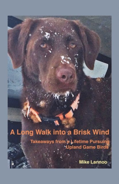Michael Lannoo - Long Walk into a Brisk Wind, E-bok