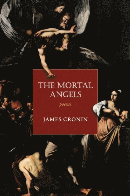 James Cronin - Mortal Angels, E-bok