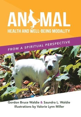 Gordon Bruce Waldie, Saundra L Waldie - Animal Health and Well-Being Modality, Inbunden