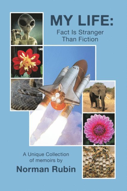 Norman Rubin - My Life: Fact Is Stranger Than Fiction, E-bok
