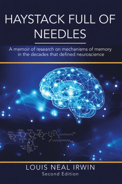 Louis Neal Irwin - Haystack Full of Needles, E-bok