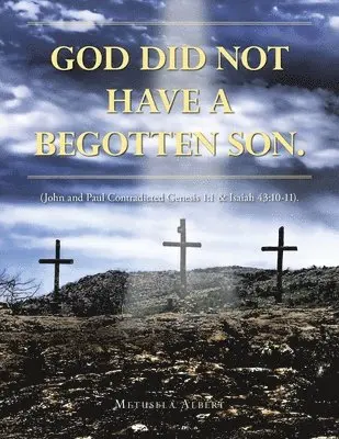 Metusela Albert - God Did Not Have a Begotten Son., Häftad. Tillgänglighet: Lägg i varukorg