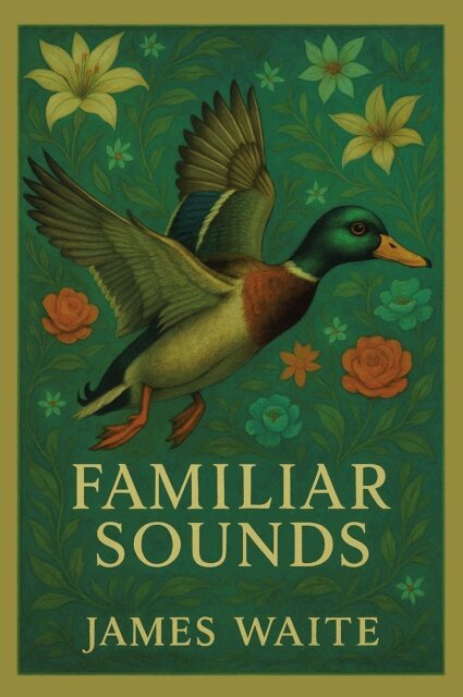 James Waite - Familiar Sounds, E-bok