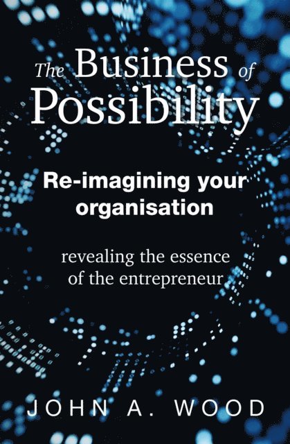 John A. Wood - Business of Possibility, E-bok