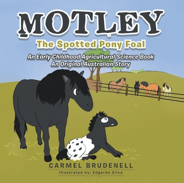 Carmel Brudenell - MOTLEY, E-bok
