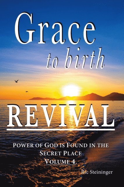 Ric Steininger - GRACE  to birth  REVIVAL, E-bok
