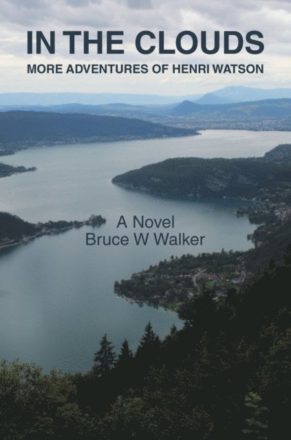 Bruce W Walker - IN THE CLOUDS, E-bok
