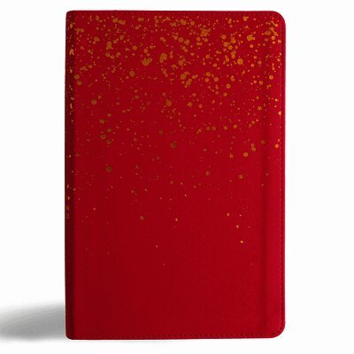 Csb Bibles By Holman - CSB Kids Bible, Pink Leathertouch, Inbunden
