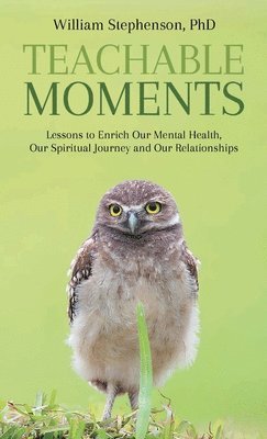 William Stephenson - Teachable Moments, Inbunden