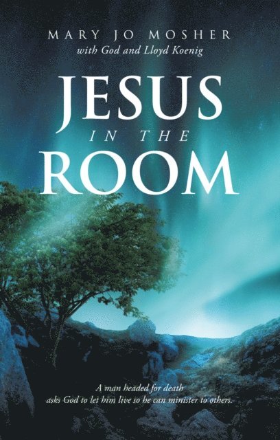 Mary Jo Mosher - Jesus in the Room, E-bok
