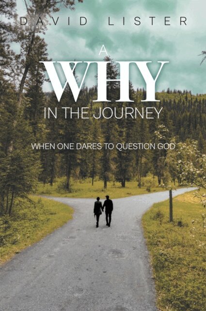 David Lister - Why in the Journey, E-bok