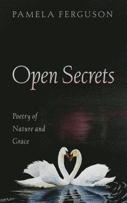 Pamela Ferguson - Open Secrets, Häftad