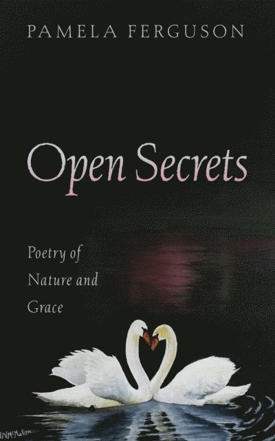 Pamela Ferguson - Open Secrets, E-bok