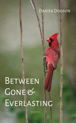 Danita Dodson - Between Gone and Everlasting, Inbunden. Tillgänglighet: Lägg i varukorg