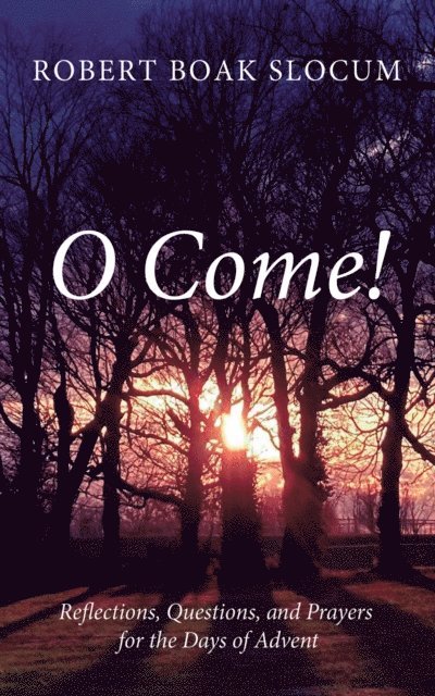 Robert Boak Slocum - O Come!, E-bok
