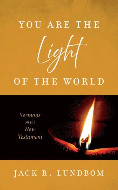Jack R. Lundbom - You Are the Light of the World, E-bok