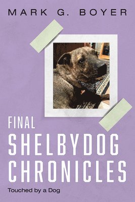 Final Shelbydog Chronicles