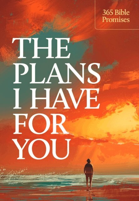 Amy E. Mason, Ronald A. Beers - Plans I Have for You, E-bok