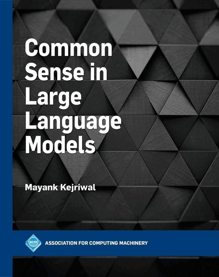 Mayank Kejriwal - Common Sense in Large Language Models, Häftad