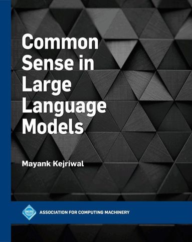 Common Sense in Large Language Models