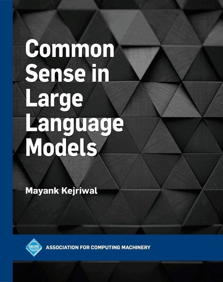 Mayank Kejriwal - Common Sense in Large Language Models, Inbunden