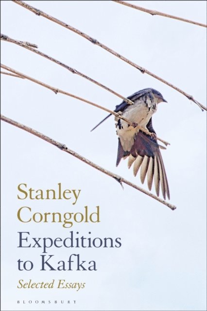 Stanley Corngold - Expeditions to Kafka, E-bok