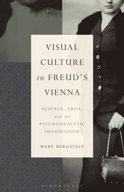 Mary Bergstein - Visual Culture in Freud's Vienna, E-bok