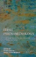 Irish Phenomenology