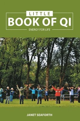 Little Book of Qi
