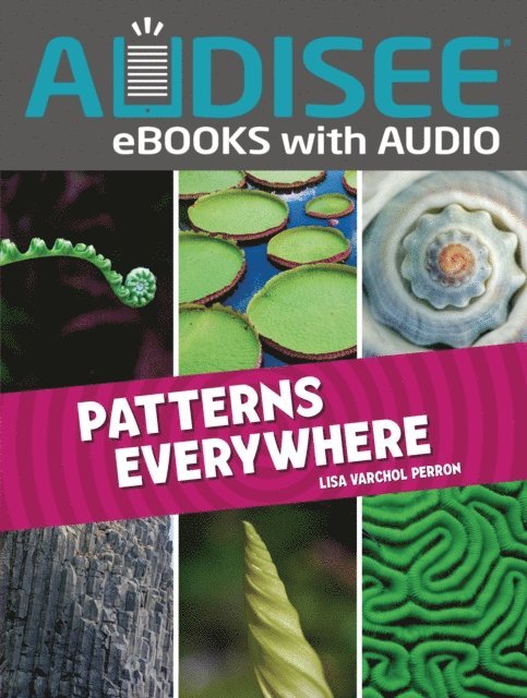 Lisa Varchol Perron - Patterns Everywhere, E-bok