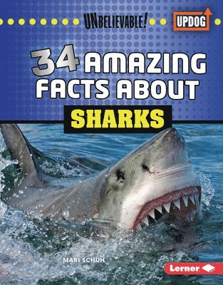 Mari C. Schuh - 34 Amazing Facts about Sharks, Inbunden