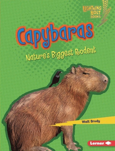 Walt Brody - Capybaras, E-bok
