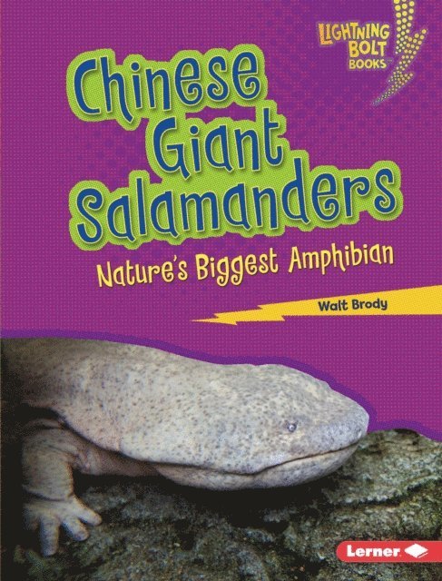 Walt Brody - Chinese Giant Salamanders, E-bok