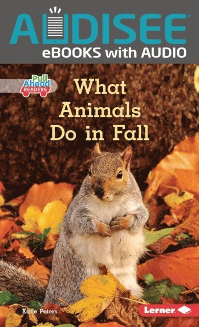 Katie Peters - What Animals Do in Fall, E-bok
