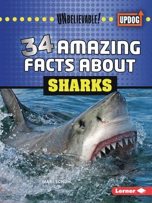 Mari C. Schuh - 34 Amazing Facts about Sharks, Häftad