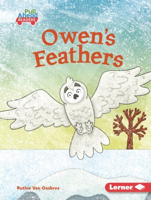 Ruthie Van Oosbree - Owen's Feathers, E-bok