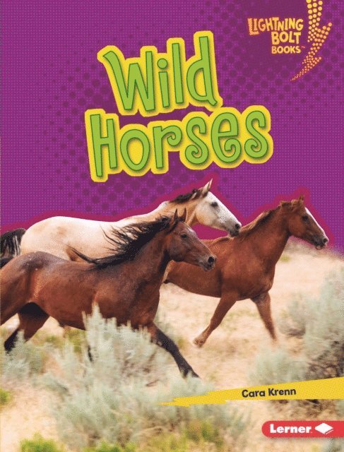 Cara Krenn - Wild Horses, E-bok