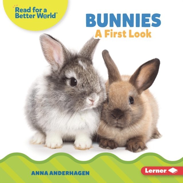 Anna Anderhagen - Bunnies, E-bok