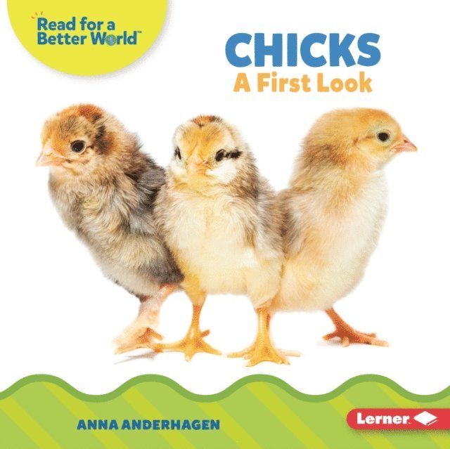 Anna Anderhagen - Chicks, E-bok