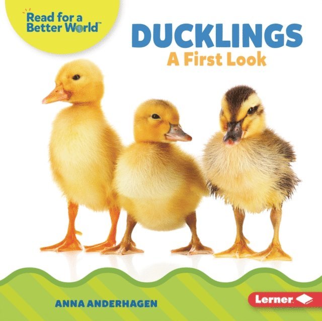 Anna Anderhagen - Ducklings, E-bok